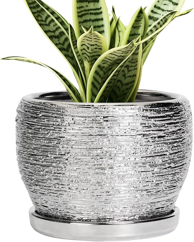 SQOWL Ceramic Plant Pots by SQOWL