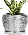 SQOWL Ceramic Plant Pots by SQOWL