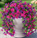 2 PCS Artificial Faux Hanging Flowers Plants by HyeFloraartificialflowers