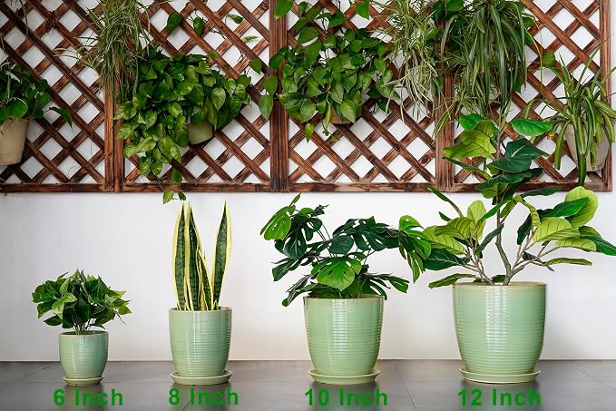 Ceramic Plant Pots - Image 9