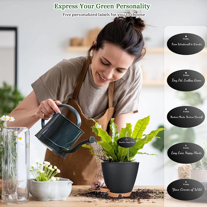 6" Self Watering Pots for Indoor Plants, Small Plastic Planters | Water Level - Image 4