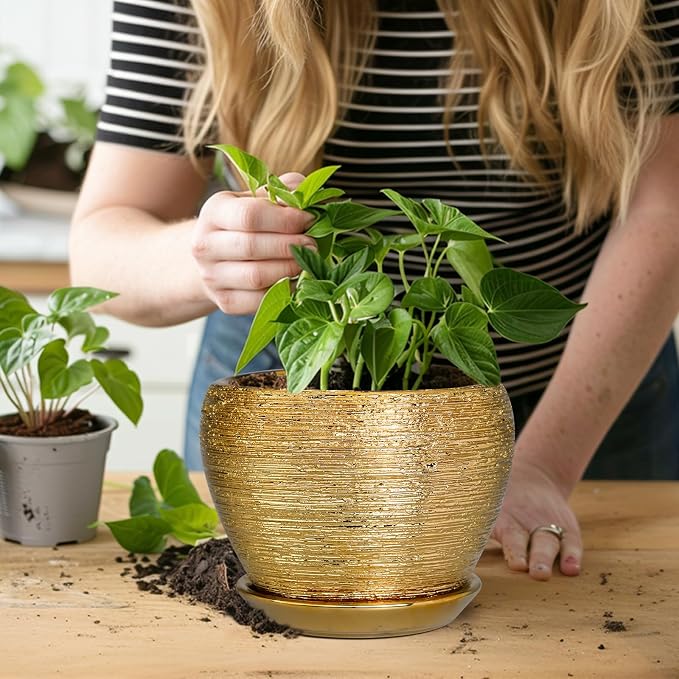Ceramicfor Indoor Plant Pot 6 Inch - Image 5