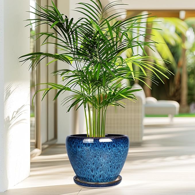 Ceramicfor 8 Inch Ceramic Plant Pot, Ceramic Planter Pot - Image 7