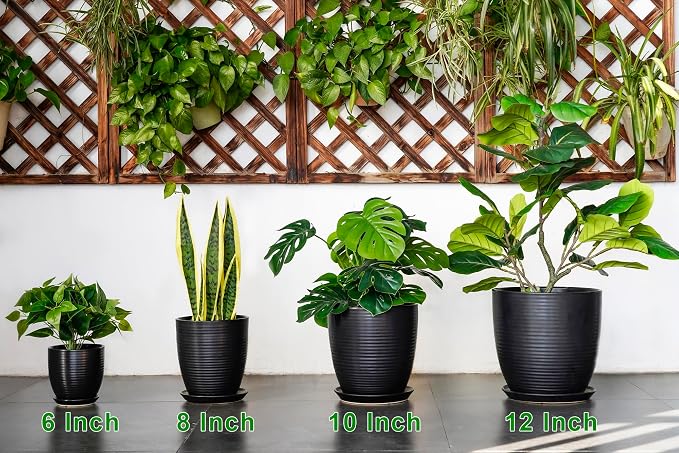 6 Inch Plant Pot - Image 9