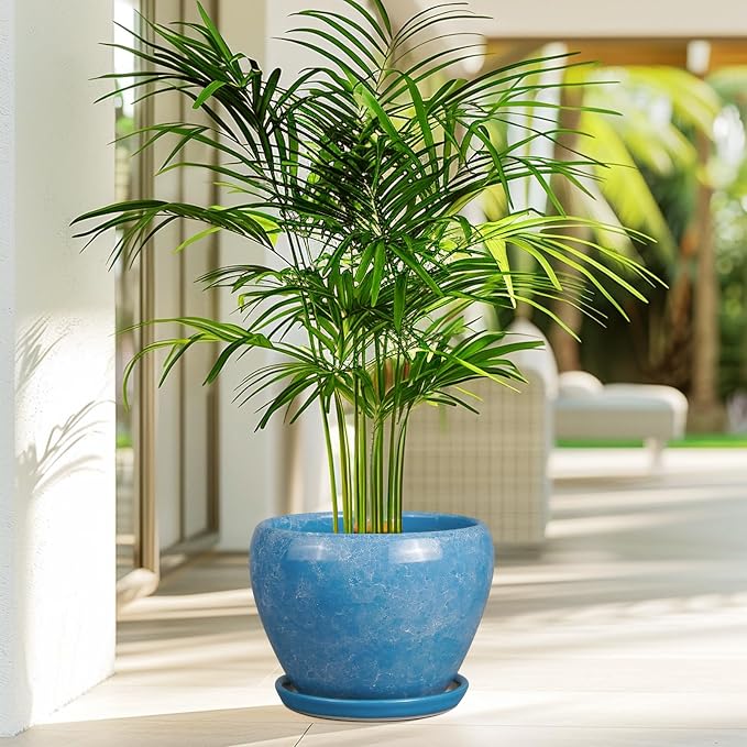 Ceramicfor Ceramic Planter - Image 6
