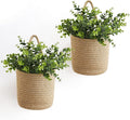 Dahey 2 Pack Woven Hanging Wall Basket 6.5"W×7"H by Dahey