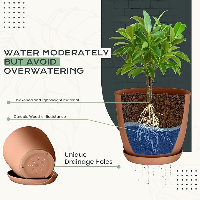 Plant Pots Indoor with Drainage 10 Pack Multi-Size Planters Set Terracotta | - Image 3