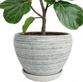 Deep Dream 10 Inch Plant Pot- Ceramic Planter Pot Round Plant Pots by DeepDream
