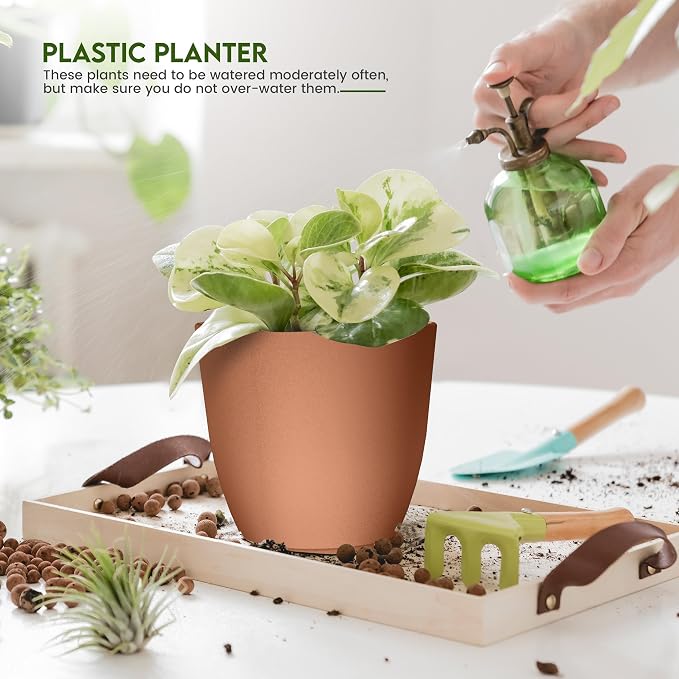 Plant Pots Indoor with Drainage, 5 Pack Multi-Size Planters Set, Terracotta | - Image 3