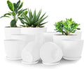 Plant Pots Indoor with Drainage, 10 Pack Multi-Size Planters Set by UTOPIAHOME