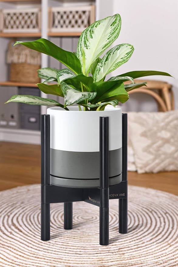 D'vine Dev Ceramic Pot with Ebony Wood Stand, 8 in, 55-B-M-6 | Mid-Century - Image 2