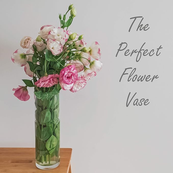 CYS Excel Clear Glass Cylinder Flower Vase, Elegant Hand-Blown Glass Wedding - Image 5