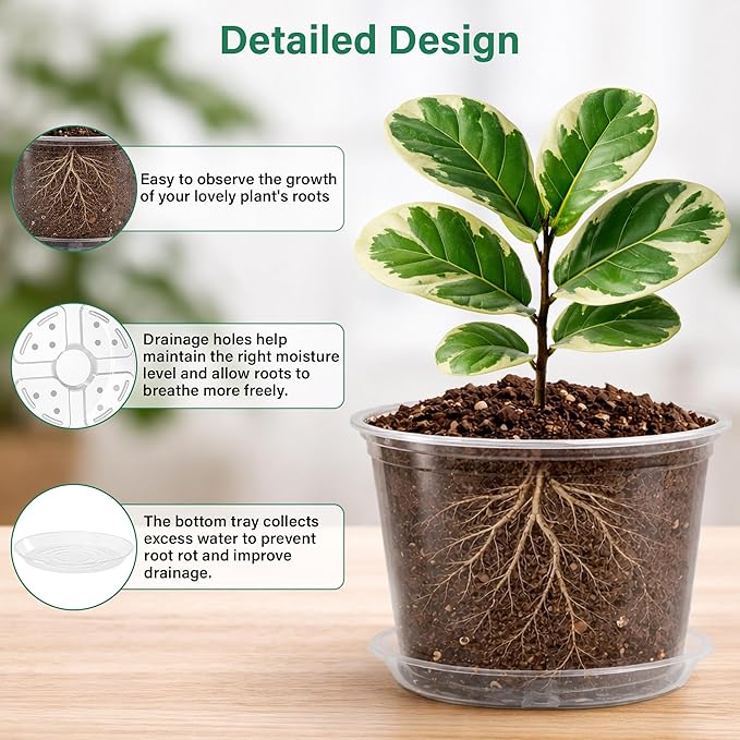 Bluepro Clear Nursery Pots - Image 3