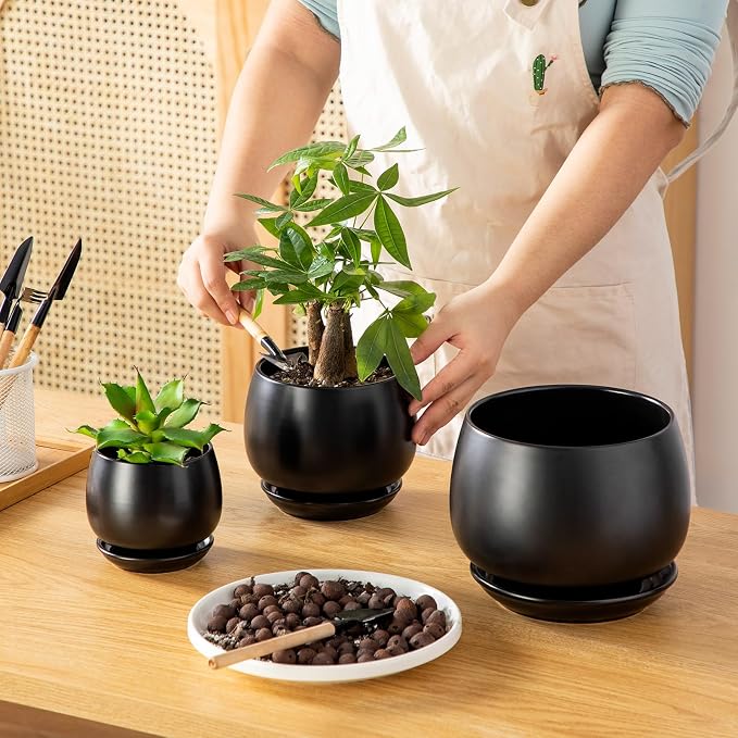 vancasso 3-Pack Ceramic Plant Pots, 3.7/4.8/6.2 Inch Indoor Planters - Image 4