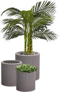 Keter Cylinder Set of 3 Rattan Resin Planter by Unknown