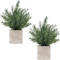 Coferset 2 Pack Small Fake Plants Rosemary Potted by Coferset