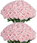 InnoGear Blush Roses Artificial Flowers 50 Pcs Fake Velvet Silk Rose Floral | by InnoGear