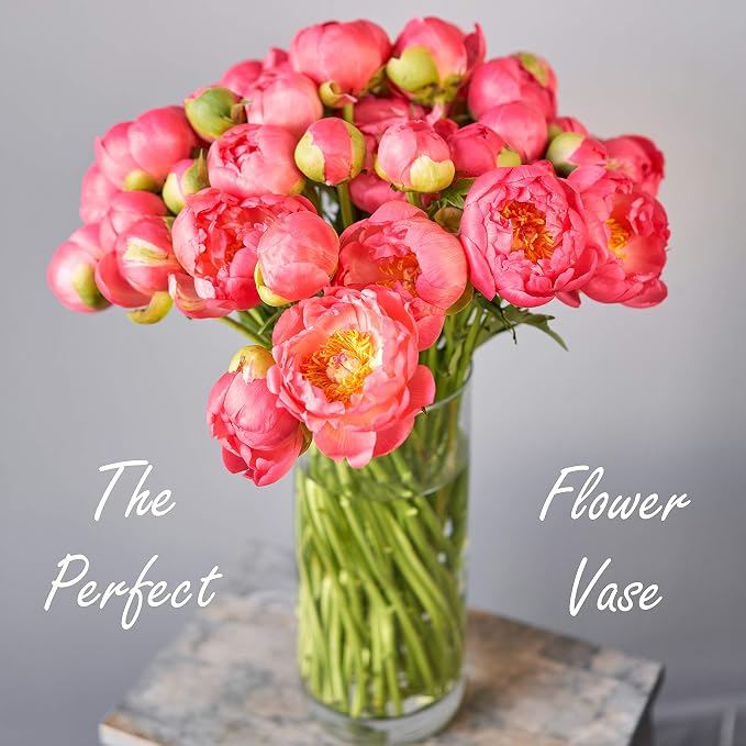 CYS Excel Clear Glass Cylinder Vase | Multiple Size Choices Glass Flower Vase - Image 6