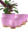 Self Watering Pots for Inoor Ourdoor Plants 10/9/8/7/6.5 Inch, 5 Pack | Plastic by Fielda