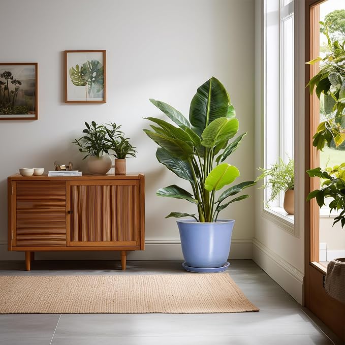Ceramic Plant Pots, 10 Inch Plant Pot - Image 3