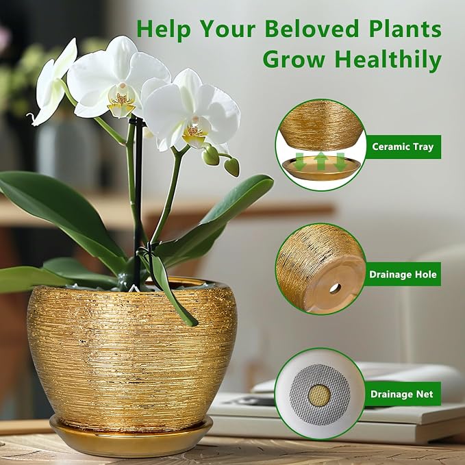 Ceramicfor Indoor Plant Pot 6 Inch - Image 6