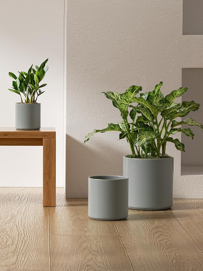LE TAUCI 10+8+6 Inch Ceramic Pots - Image 4