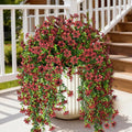 INQCMY Artificial Fake Hanging Flowers Plants by INQCMYPlantRack