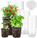 30 Pack 6.5/5/4 In Clear Nursery Plant Pots by WandaQueen