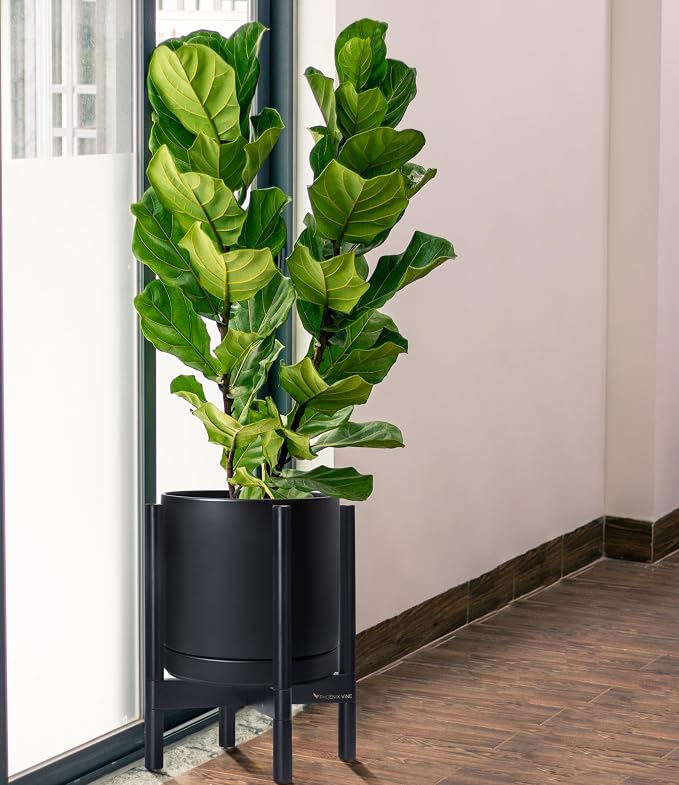 D'vine Dev Ceramic Pot with Ebony Wood Stand, 12 in, 55-B-H-2 | Mid-Century - Image 4
