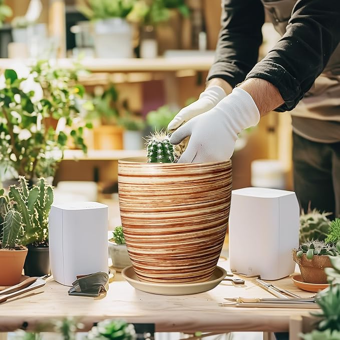 8 Inch Plant Pot, Ceramic Planter - Image 4
