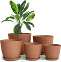 Plant Pots Indoor with Drainage, 5 Pack Multi-Size Planters Set, Terracotta | by UTOPIAHOME