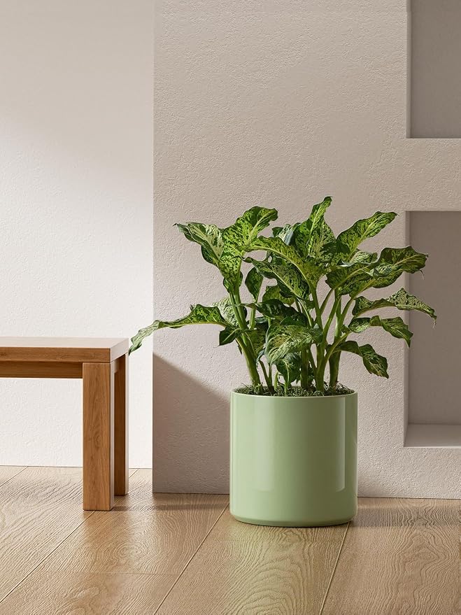 LE TAUCI 12 Inch Pot for Plants, Ceramic Planters for Indoor Plants, - Image 6