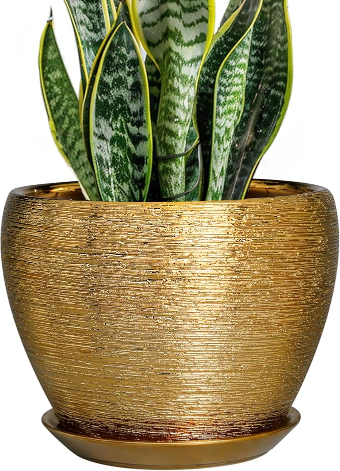Ceramicfor Ceramic Plant Pot 8 Inch by Ceramicfor