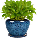 Deep Dream 6 Inch Plant Pots- Ceramic Planter Pot by DeepDream