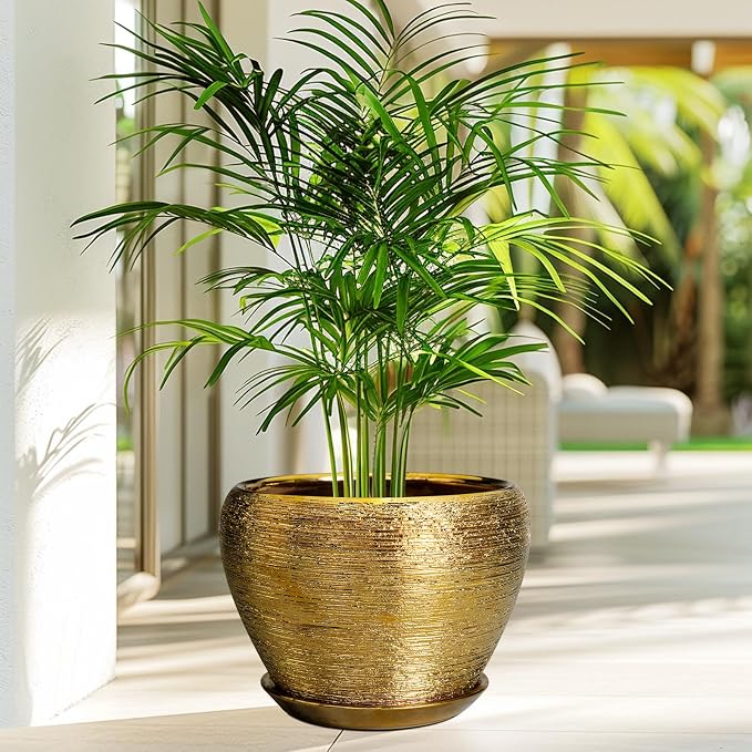 Ceramicfor Ceramic Planter 10 Inch - Image 5