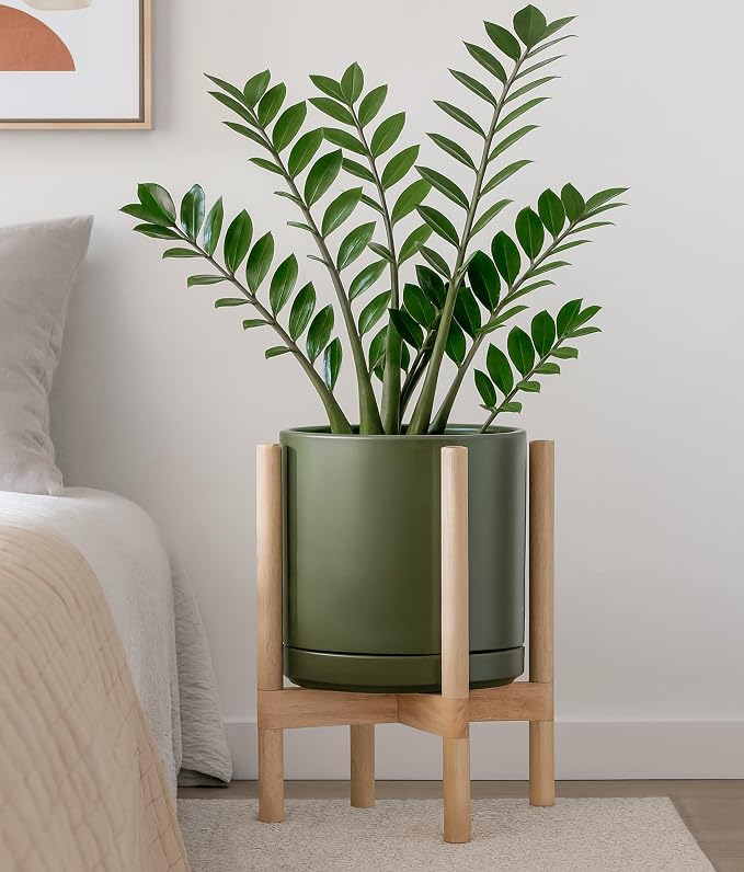 D'vine Dev Ceramic Pot with Natural Wood Stand, 12 in, 55-B-J-J | Mid-Century - Image 4