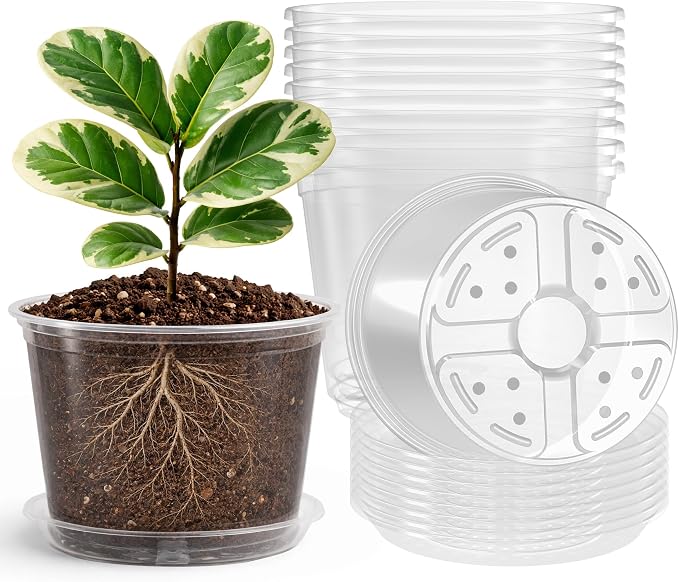 Bluepro Clear Nursery Pots by Bluepro