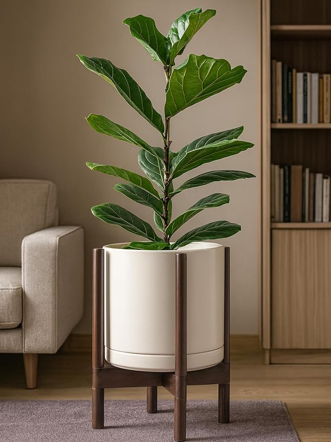 D'vine Dev Ceramic Pot with Walnut Wood Stand, 12 in, 55-B-W-8 | Mid-Century - Image 2