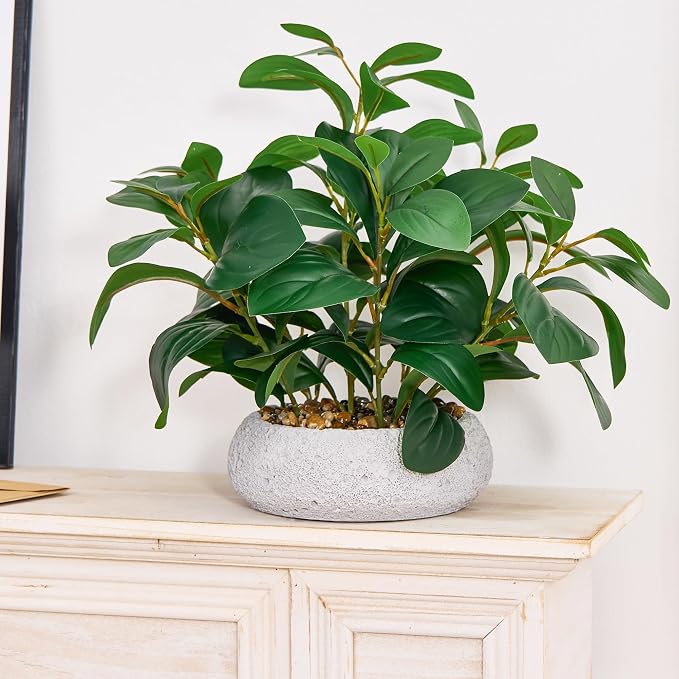 K&Y Realistic Artificial Potted Plants Olive Wild Fern Berry Decor Low - Image 5