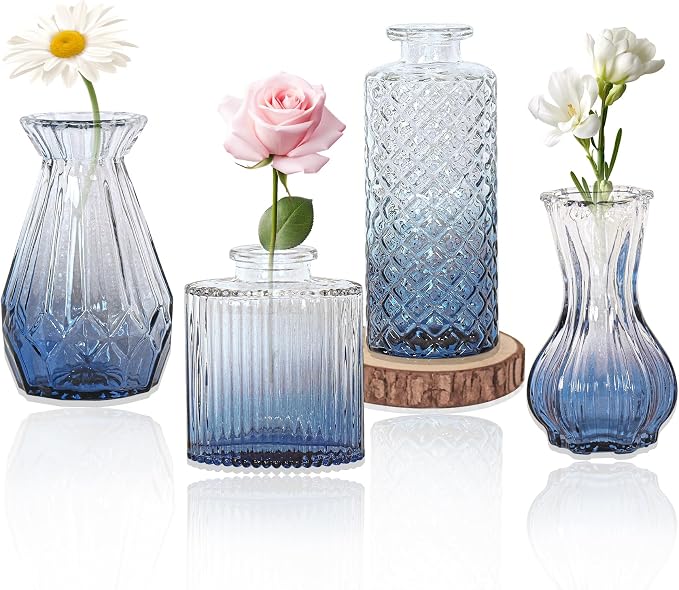 Set of 4 Glass Bud Vase Set, Small Vintage Clear Flower Vase Centerpieces by HAISIWLKJ