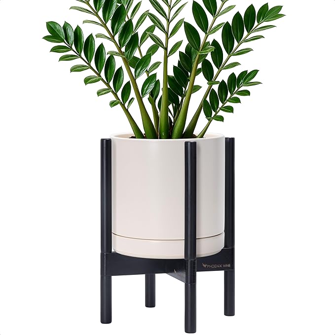 D'vine Dev Ceramic Pot with Ebony Wood Stand, 10 in, 55-B-L-8 | Mid-Century by DvineDevPlanterPotsandStand