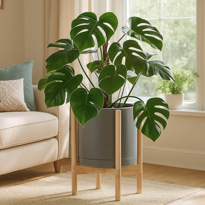 D'vine Dev Ceramic Pot with Natural Wood Stand, 12 in, 55-B-J-3 | Mid-Century - Image 2