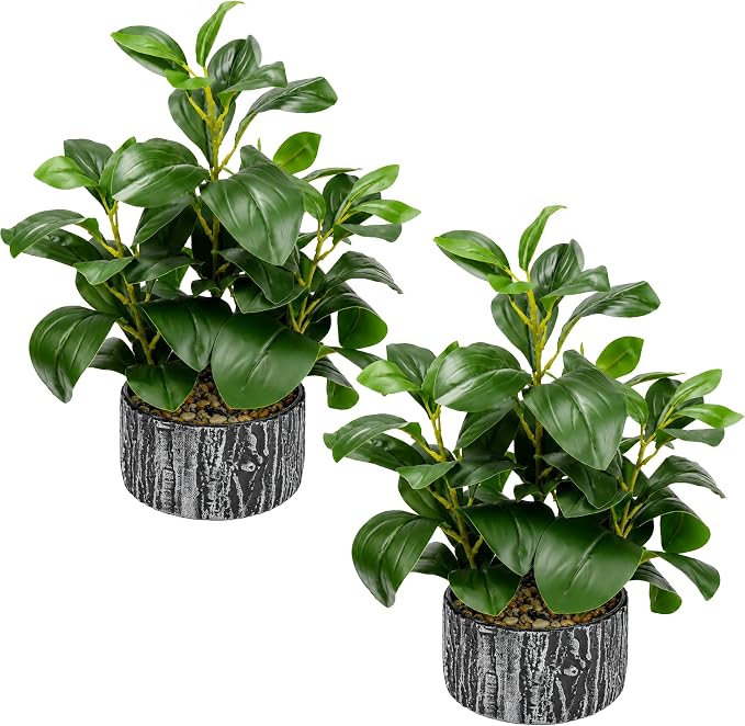 Der Rose 15.7" 2Pcs Faux Money Leaf Plants Indoor by DerRose