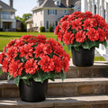 2 Set Artificial Dahlia Topiary Ball Trees by VIERENA