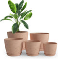 Plant Pots Indoor with Drainage 5 Pack Multisize Planters Spotty Peach Pink | by UTOPIAHOME