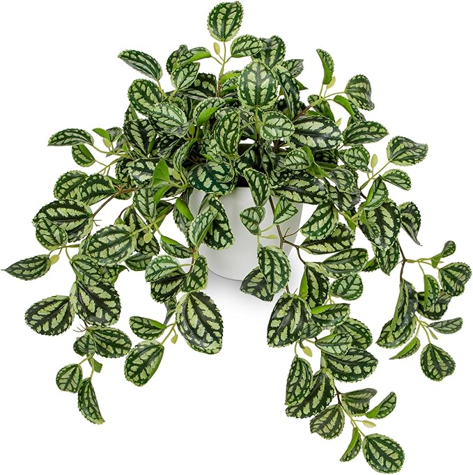 Briful Faux Plant Indoor, 17.7" Artificial Watermelon Peperomia Trailing Plant by Briful