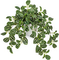 Briful Faux Plant Indoor, 17.7" Artificial Watermelon Peperomia Trailing Plant by Briful