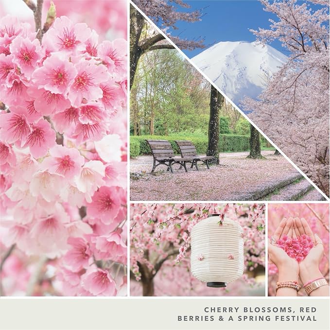 Yankee Candle Sakura Blossom Festival Large Jar Candle White Rose - Image 6