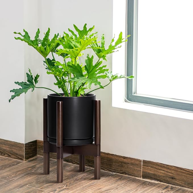 D'vine Dev Ceramic Pot with Walnut Wood Stand, 8 in, 55-B-Y-2 | Mid-Century - Image 4