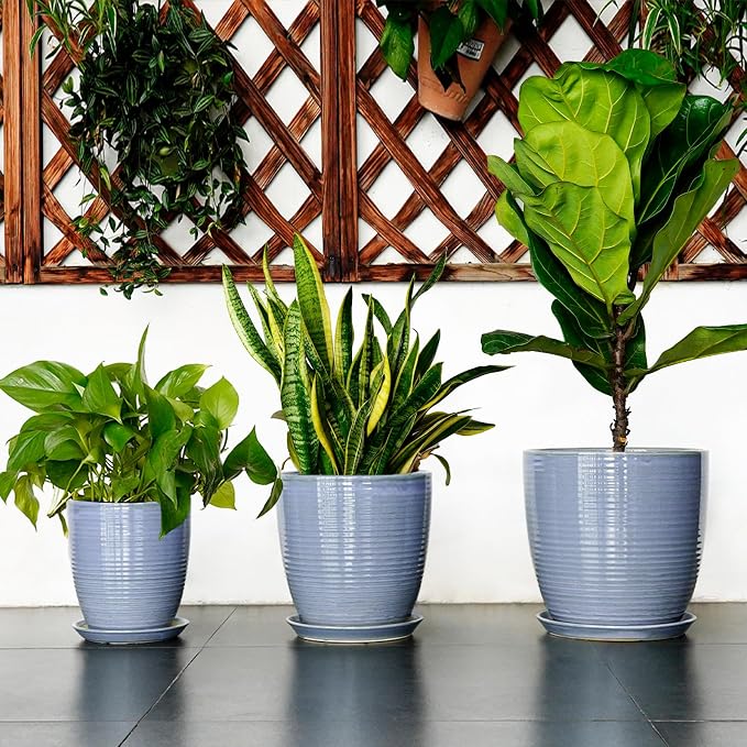 10 Inch Plant Pot - Image 7
